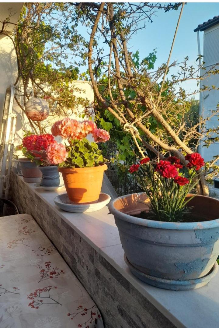 Cozy Maisonette In Pefkochori Chalkidiki Εξωτερικό φωτογραφία